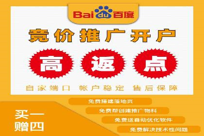 案例分析：百度推广费用如何精准投放